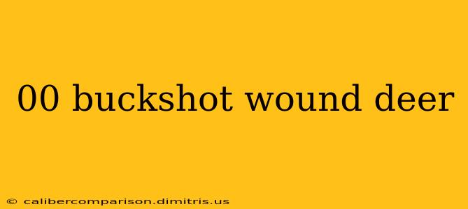 00 buckshot wound deer