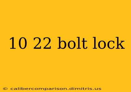 10 22 bolt lock