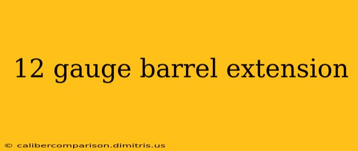 12 gauge barrel extension