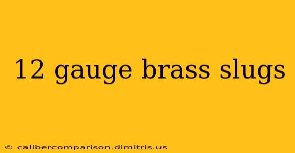 12 gauge brass slugs