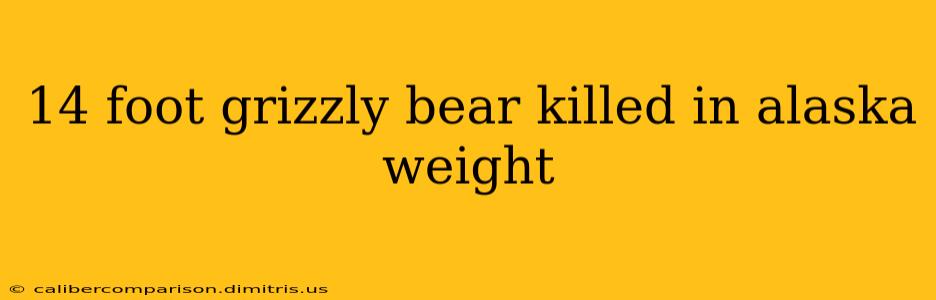 14 foot grizzly bear killed in alaska weight