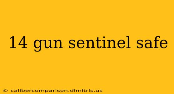 14 gun sentinel safe