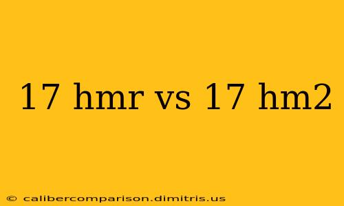 17 hmr vs 17 hm2