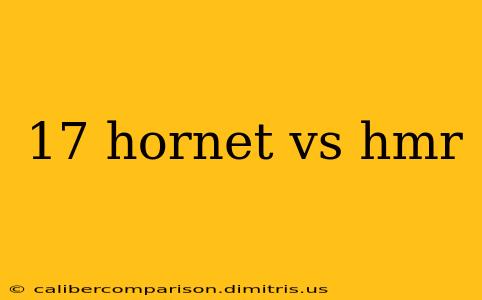 17 hornet vs hmr