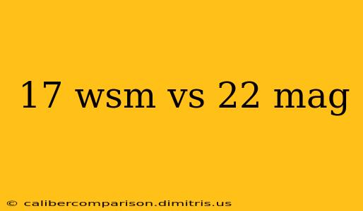 17 wsm vs 22 mag