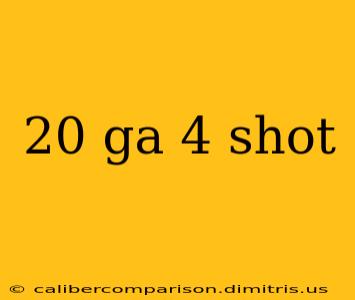 20 ga 4 shot