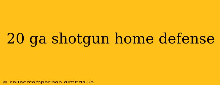 20 ga shotgun home defense