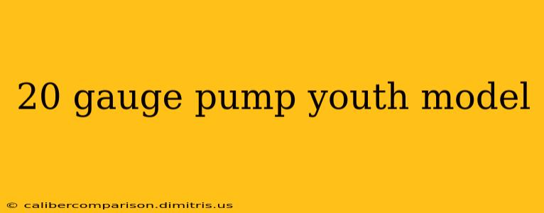 20 gauge pump youth model