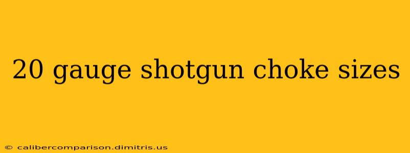 20 gauge shotgun choke sizes