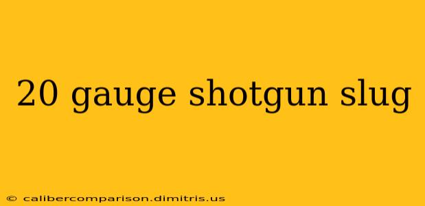 20 gauge shotgun slug