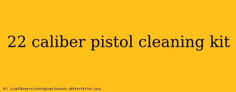 22 caliber pistol cleaning kit