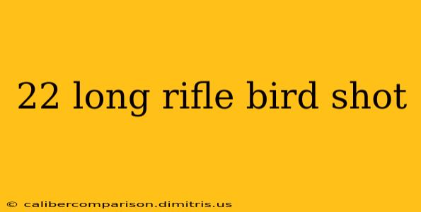 22 long rifle bird shot