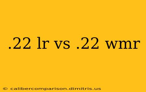 .22 lr vs .22 wmr