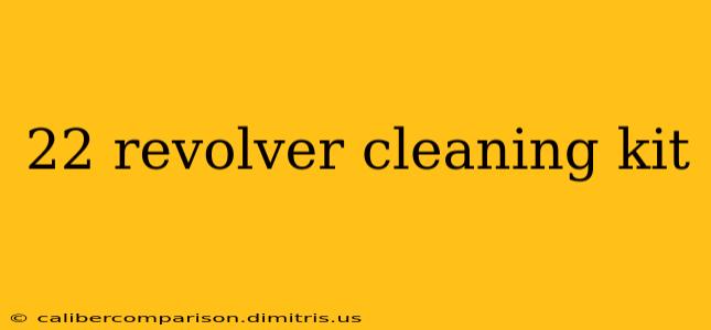 22 revolver cleaning kit