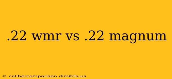 .22 wmr vs .22 magnum