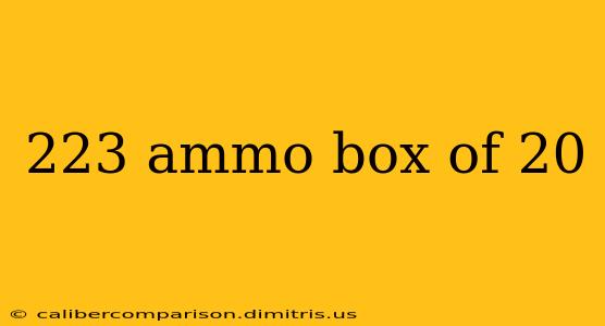 223 ammo box of 20