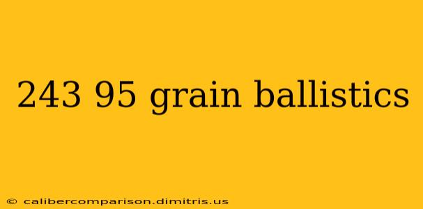 243 95 grain ballistics