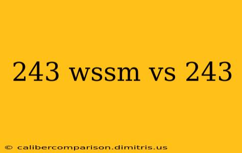 243 wssm vs 243