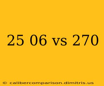 25 06 vs 270