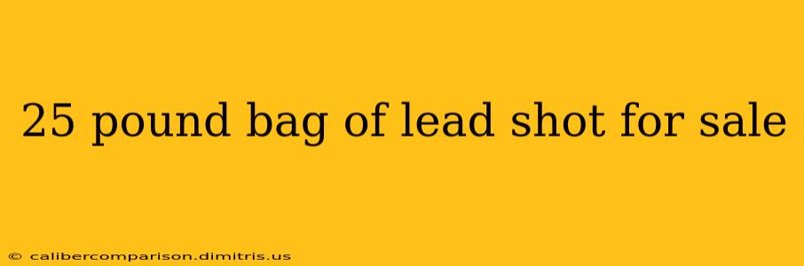 25 pound bag of lead shot for sale