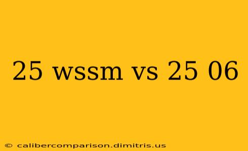 25 wssm vs 25 06