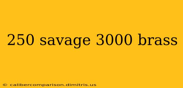 250 savage 3000 brass