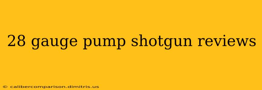 28 gauge pump shotgun reviews