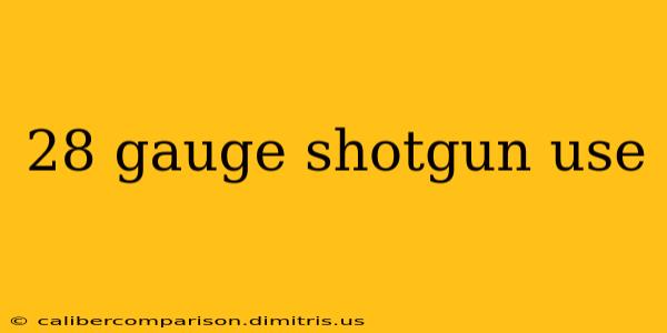 28 gauge shotgun use