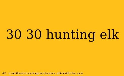 30 30 hunting elk