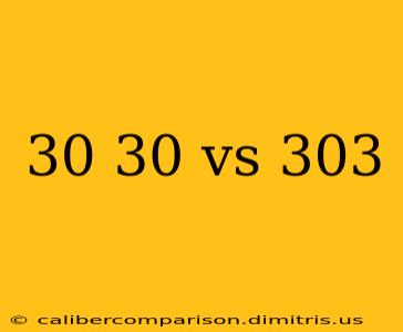 30 30 vs 303