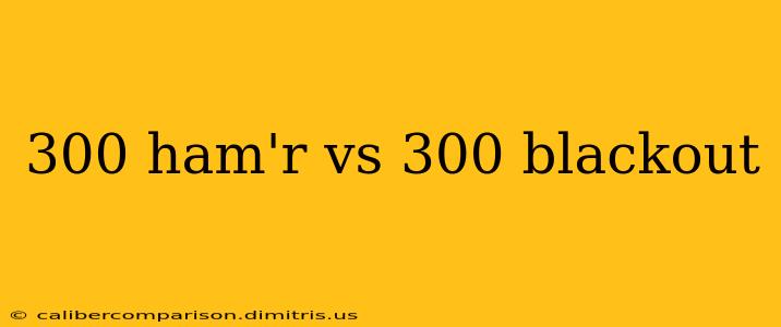 300 ham'r vs 300 blackout