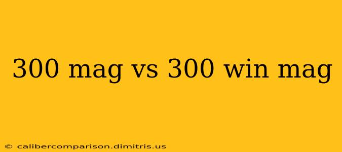 300 mag vs 300 win mag