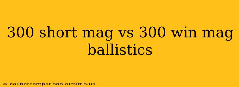 300 short mag vs 300 win mag ballistics