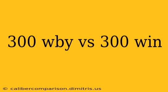 300 wby vs 300 win