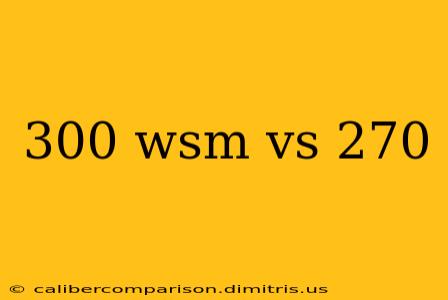 300 wsm vs 270