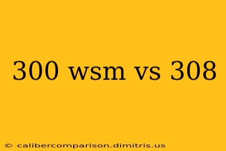 300 wsm vs 308