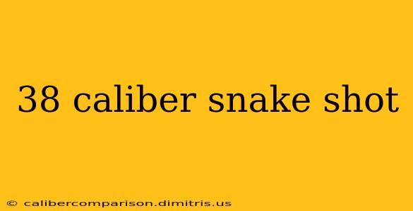 38 caliber snake shot