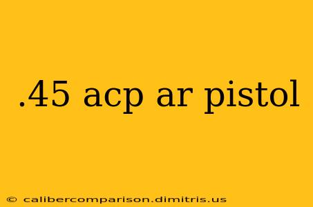 .45 acp ar pistol