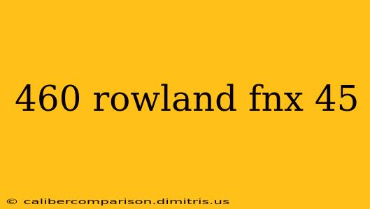 460 rowland fnx 45