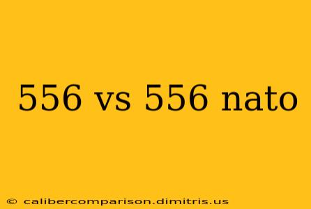 556 vs 556 nato