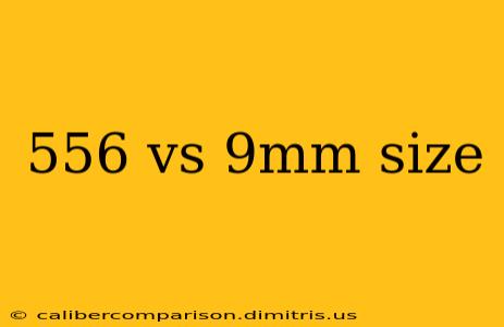 556 vs 9mm size