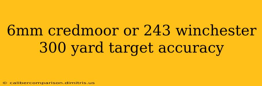 6mm credmoor or 243 winchester 300 yard target accuracy