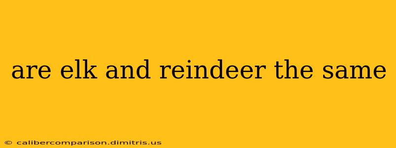 are elk and reindeer the same