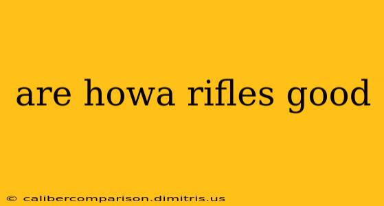 are howa rifles good