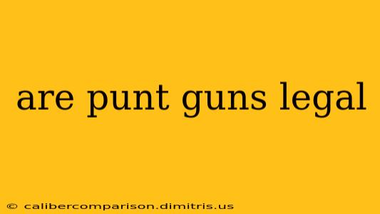 are punt guns legal