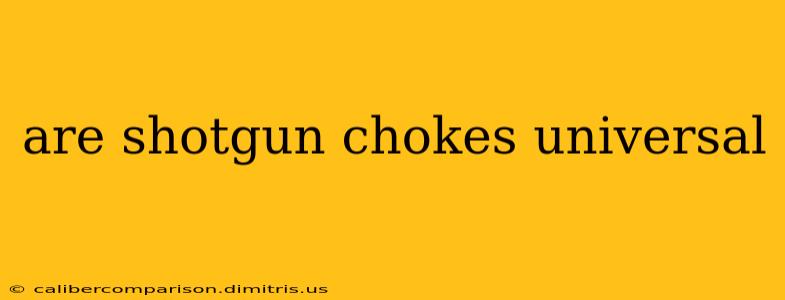 are shotgun chokes universal