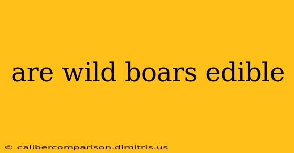 are wild boars edible