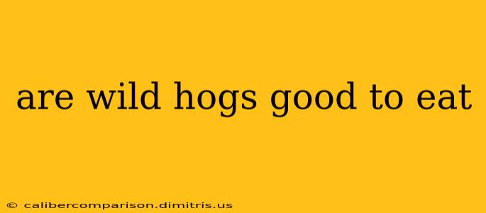 are wild hogs good to eat