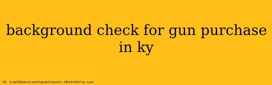 background check for gun purchase in ky