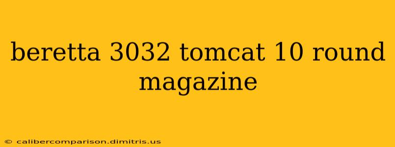 beretta 3032 tomcat 10 round magazine